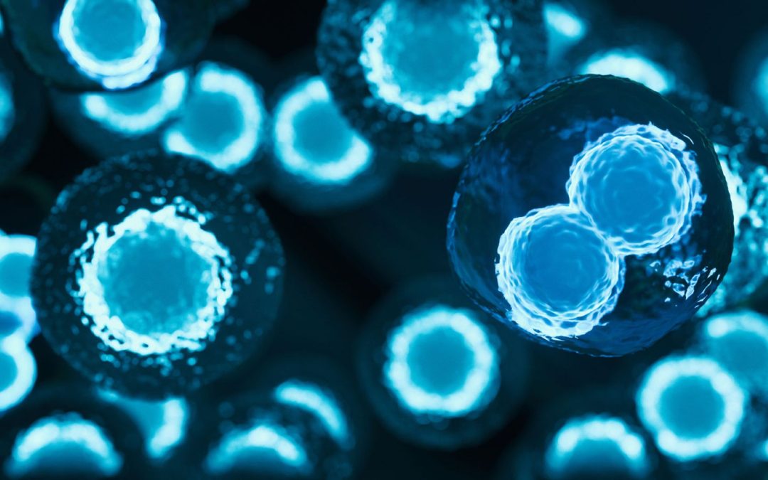 Stem Cell Breakthrough: Woman Reverses Type 1 Diabetes Using Her Own Cells