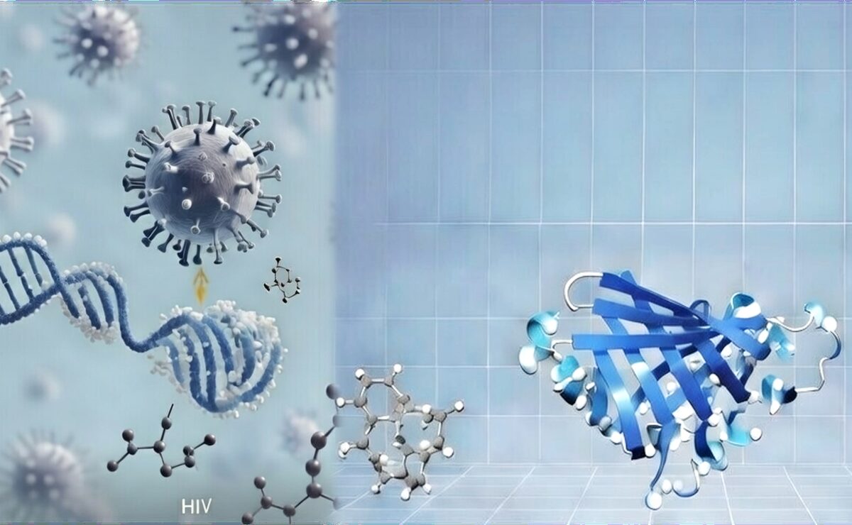 Atomic Warriors Structural biology model of viral DNA integration and antiviral drug targets.