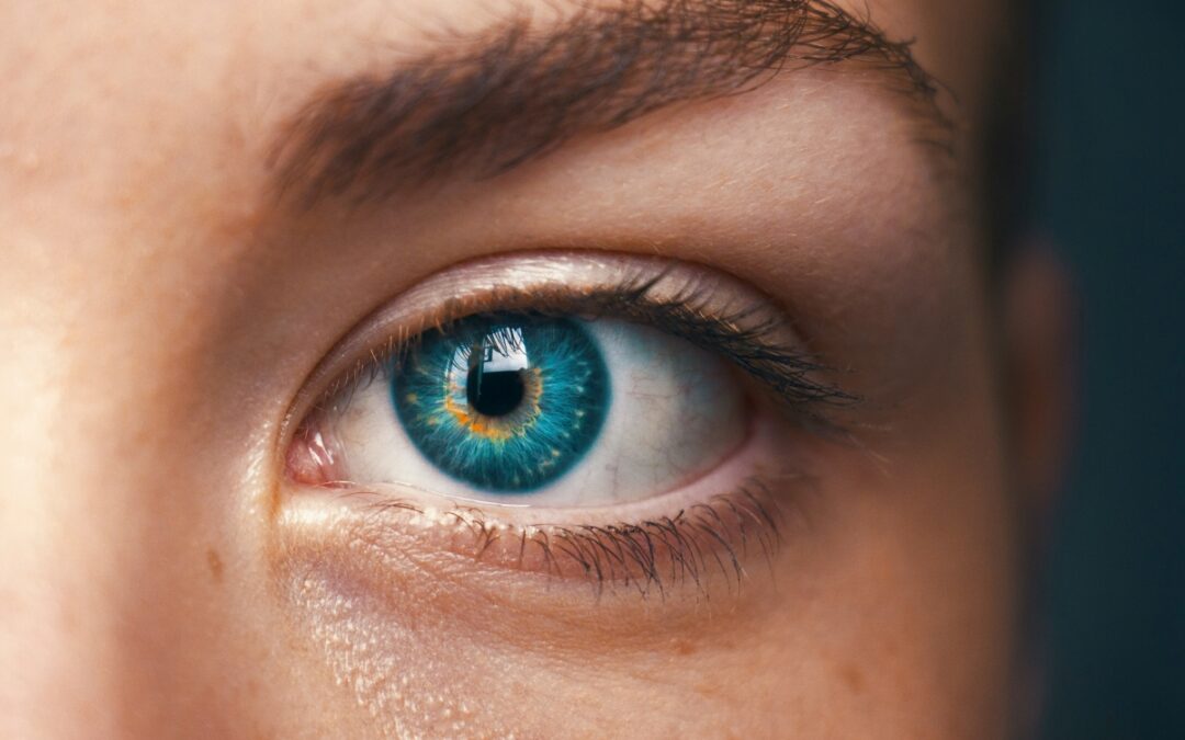 NIH Scientists Pioneer “Digital Twin” of Eye Cells