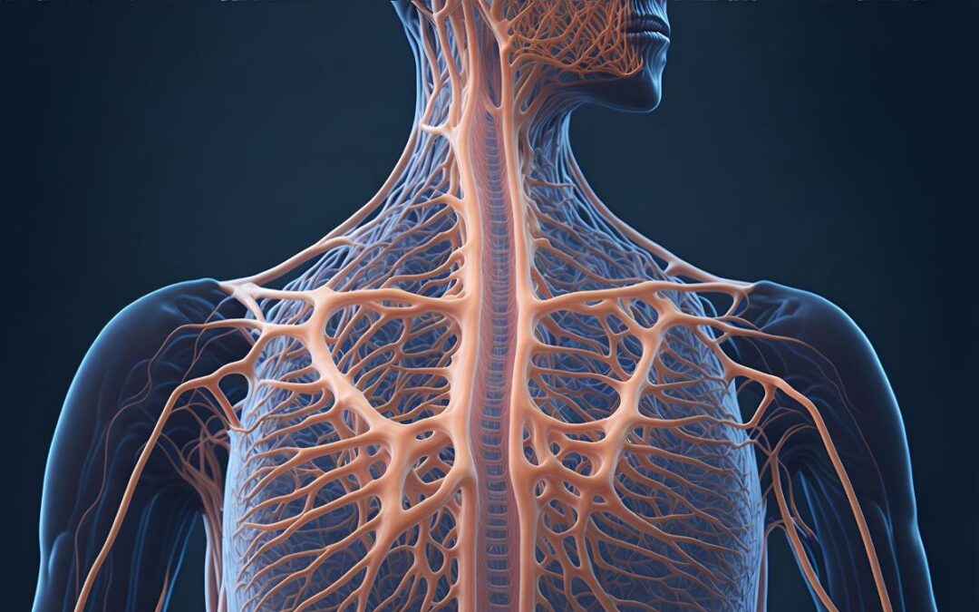 Physiology: The Missing Layer in Precision Medicine