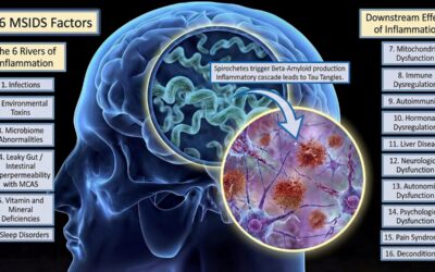 First Alzheimer’s Biomarker Reversal Linked to Lyme Disease Treatment