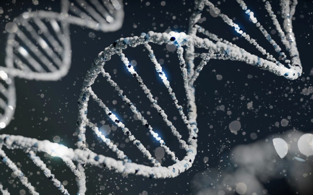Hallmarks of Ageing as a Framework: How the Research Field is Evolving