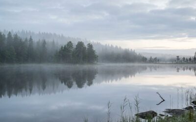 Dementia Relief Through Silence and Brain Wave Modulation