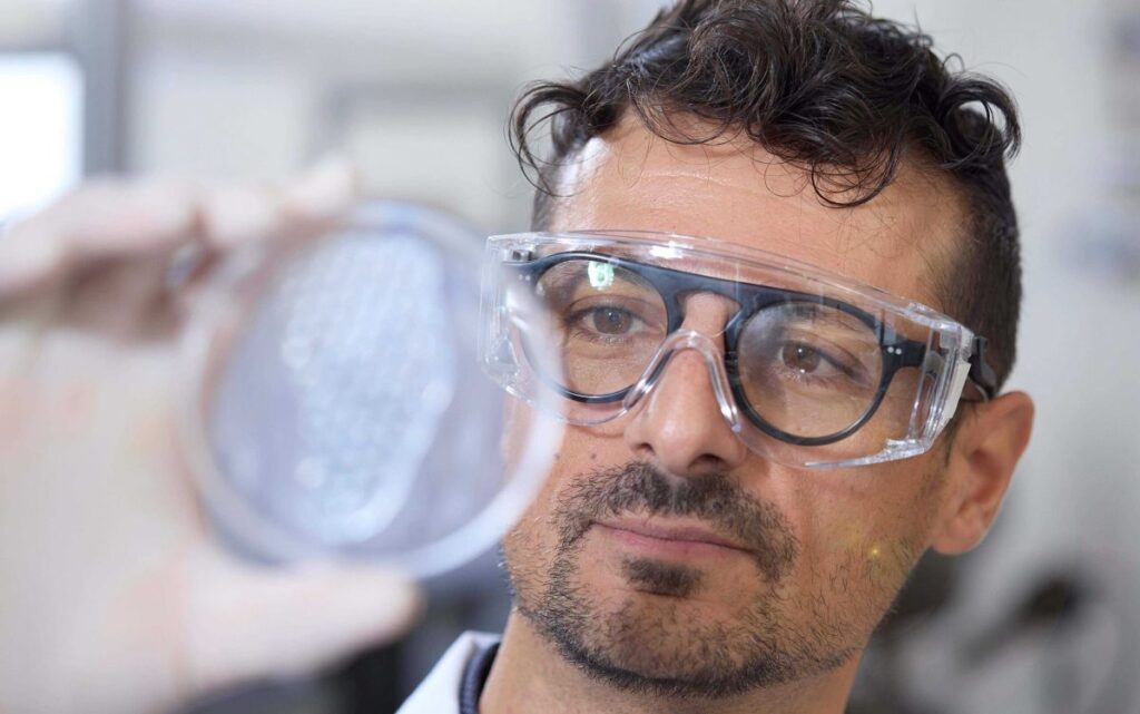 Scientist examines a petri dish during 3D printed heart patch research in the laboratory.