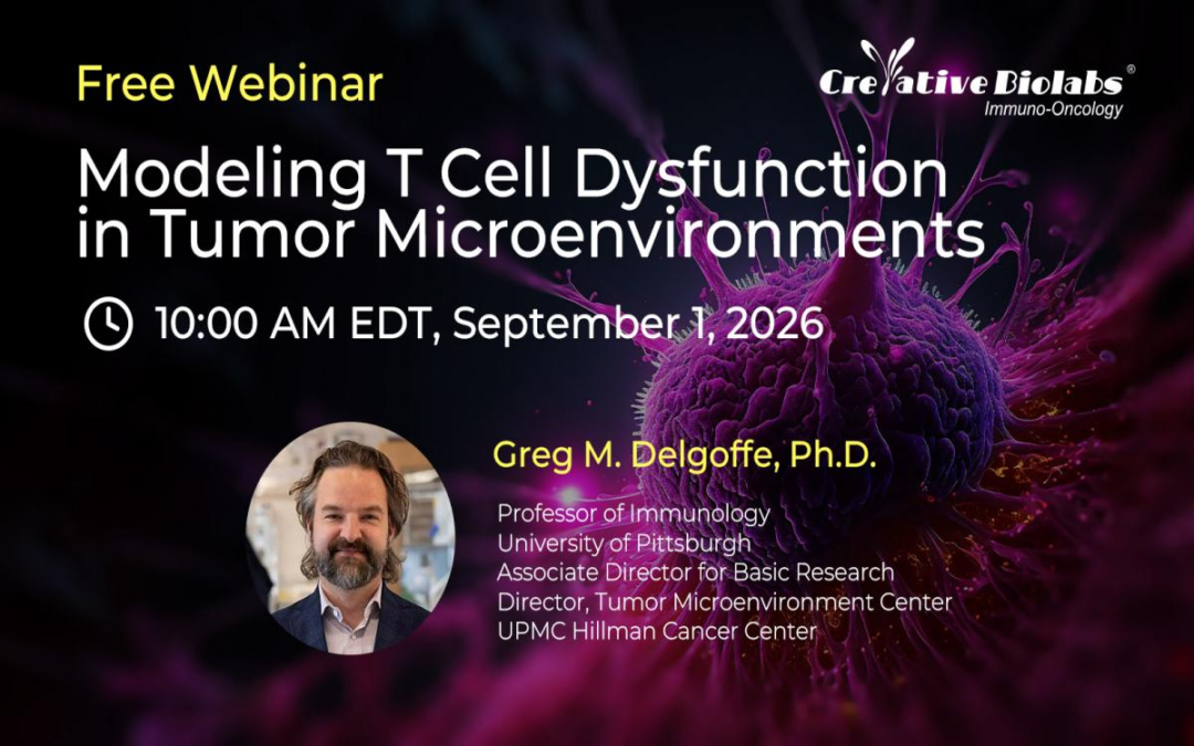 Modeling T Cell Dysfunction: New Frontiers in Immunometabolism